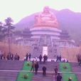 許江岸村 許江岸村