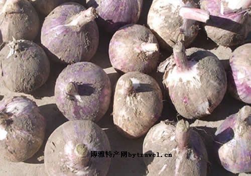 茶陵三寶之紫皮大蒜