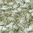南山白毛茶 南山白毛茶