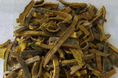 黃柏皮湯 黃柏皮湯