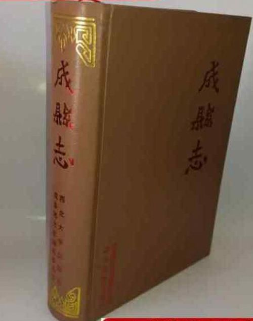 成縣新志 成縣新志