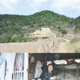 梁桂英(新昌大市聚鎮姚卜丁村村民) 梁桂英(新昌大市聚鎮姚卜丁村村民)