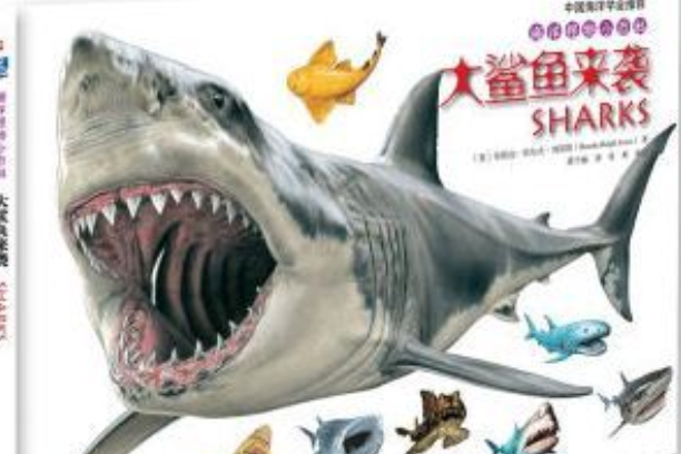 大鯊魚來襲 大鯊魚來襲