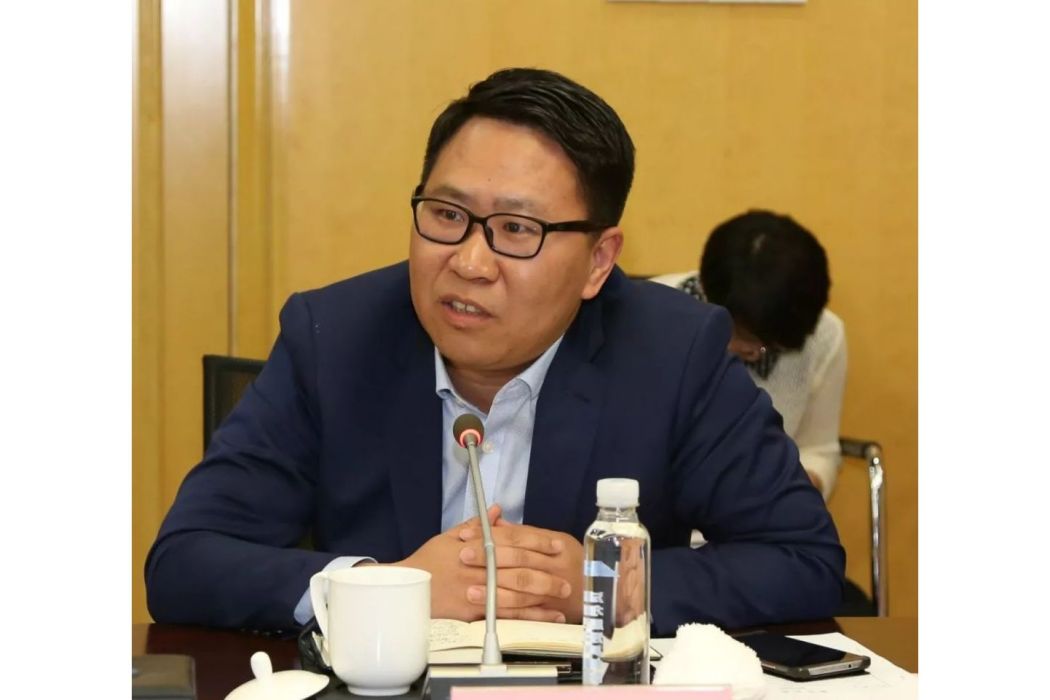 陳飛(*ST中南原董事長) 陳飛(*ST中南原董事長)
