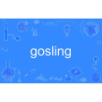 gosling gosling