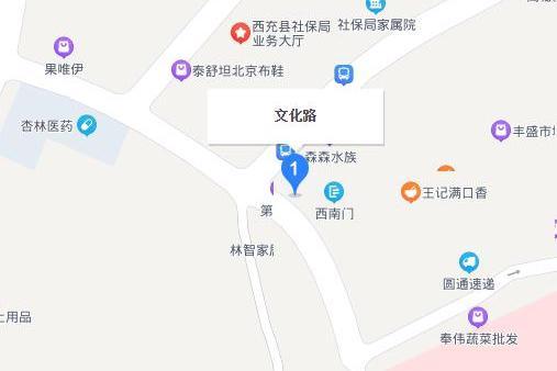 文化路(四川省南充市西充文化路) 文化路(四川省南充市西充文化路)
