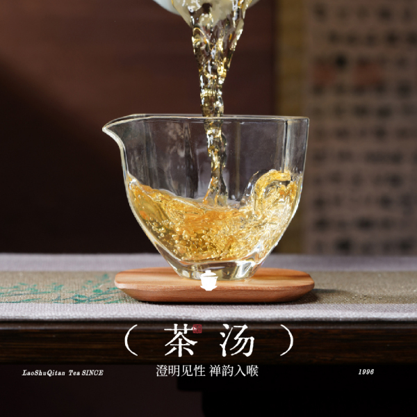 老樹奇譚
