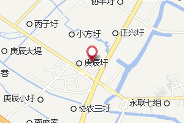 新建八組 新建八組