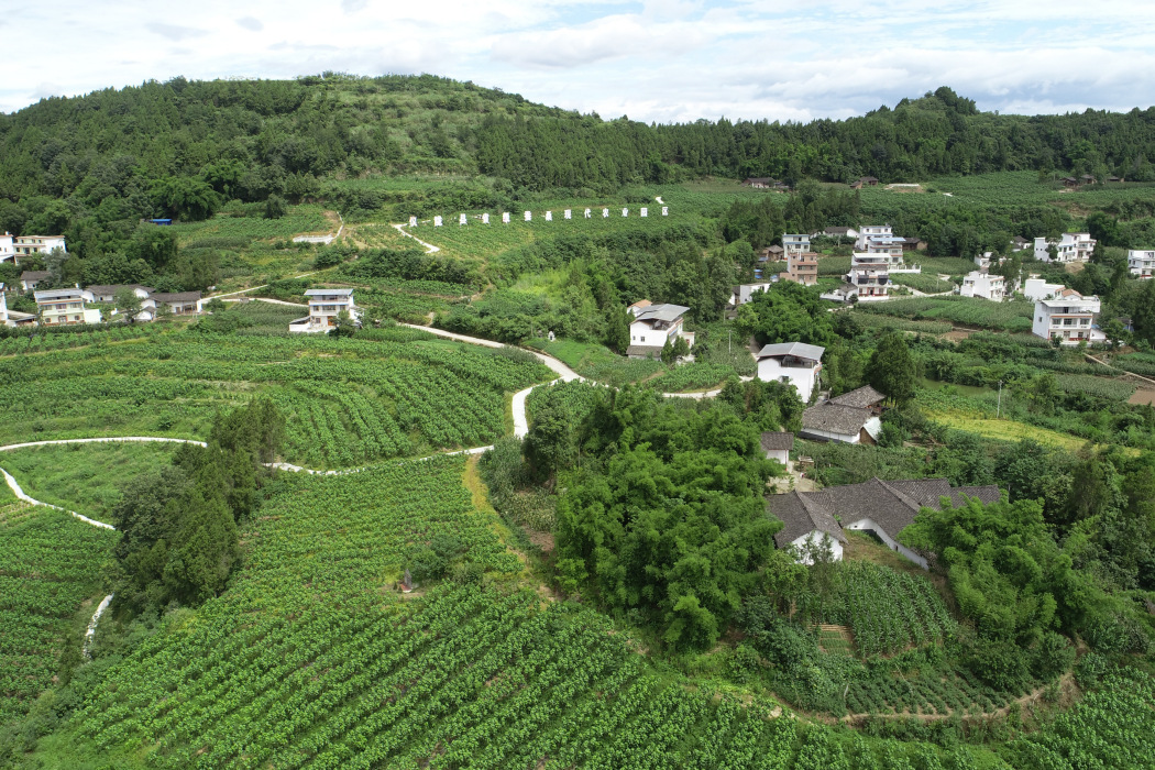 九龍山村(四川省南充市儀隴縣銅鼓鄉下轄村) 九龍山村(四川省南充市儀隴縣銅鼓鄉下轄村)