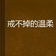 戒不掉的溫柔(網路小說) 戒不掉的溫柔(網路小說)