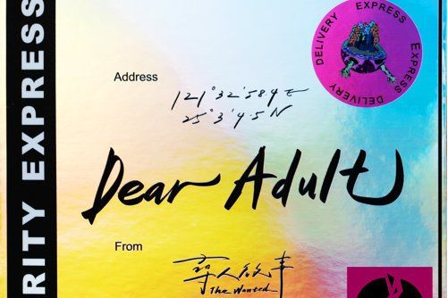 Dear Adult Dear Adult