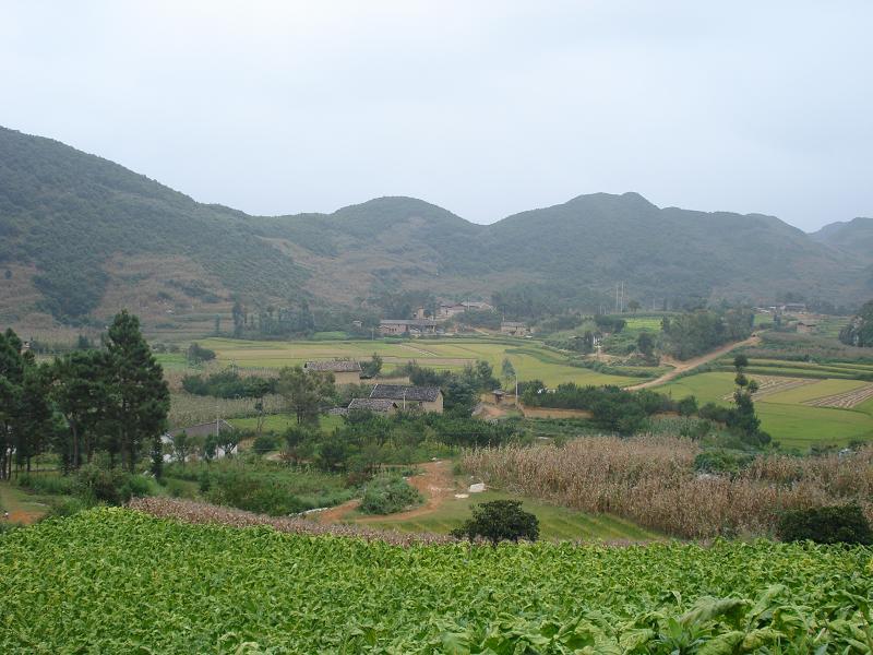 沙仁寨村 沙仁寨村