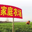 家庭農場(農業經營形式)