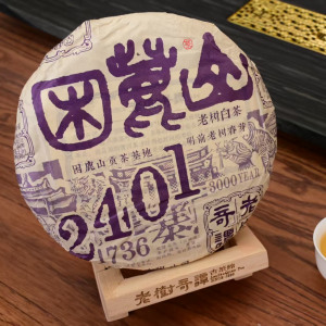 老樹奇譚