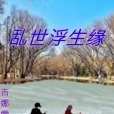 亂世浮生緣 亂世浮生緣