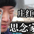 思念家鄉(莊紅虎演唱歌曲)