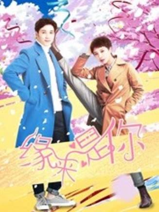 趙九歌 趙九歌