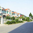 余村(浙江省慶元縣屏都鎮) 余村(浙江省慶元縣屏都鎮)