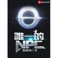 唯一的NPC 唯一的NPC