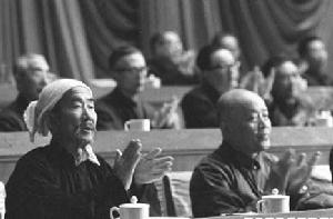 植棉專家吳吉昌在大會主席台上
