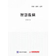 智慧監獄(2014年清華大學出版社出版的圖書)