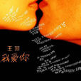 我愛你(王菲演唱歌曲) 我愛你(王菲演唱歌曲)