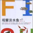 觀察淡水魚 觀察淡水魚