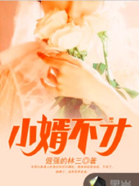 小婿不才(倔強的林三著網路小說) 小婿不才(倔強的林三著網路小說)