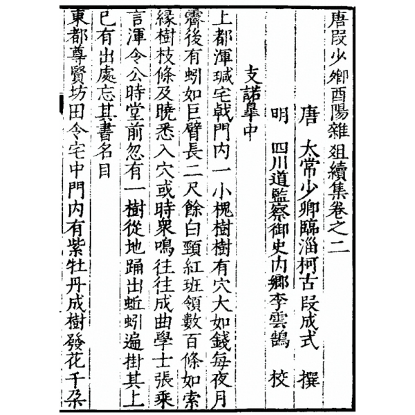 金天神