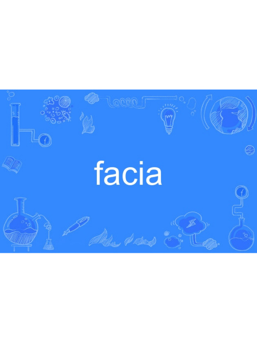 facia facia