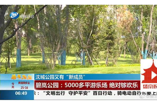 碧嵐公園 碧嵐公園