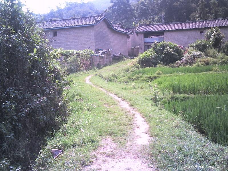 來細一村 來細一村