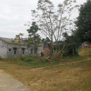 土地坑村 土地坑村