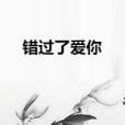 錯過了愛你 錯過了愛你