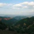 鳥危山 鳥危山