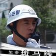 生命斑馬線 生命斑馬線