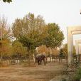 北京動物園大象館