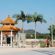 團結村(廣東省清遠英德市九龍鎮團結村) 團結村(廣東省清遠英德市九龍鎮團結村)