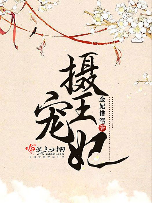 攝寵王妃 攝寵王妃