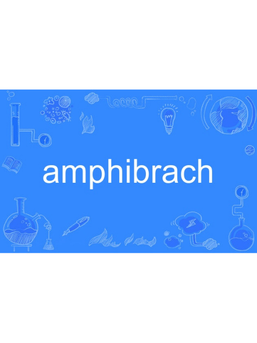 amphibrach amphibrach