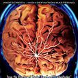 Brain Damage(Frank Henenlotter 1988年電影) Brain Damage(Frank Henenlotter 1988年電影)