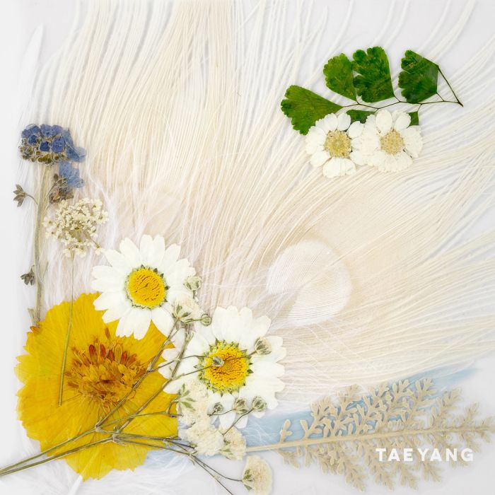 White Night(TAEYANG第三張正規專輯) White Night(TAEYANG第三張正規專輯)