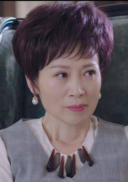暖愛(2017年翟天臨、江鎧同主演的電視劇)