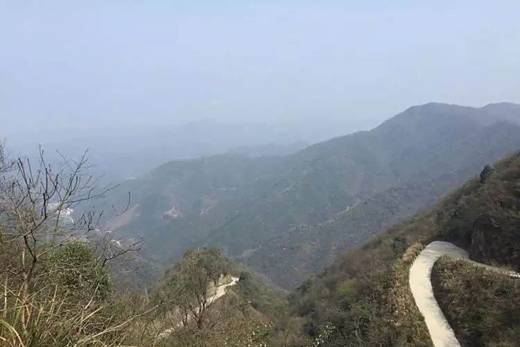 雷鋒尖 雷鋒尖