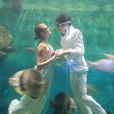 海底婚禮 海底婚禮