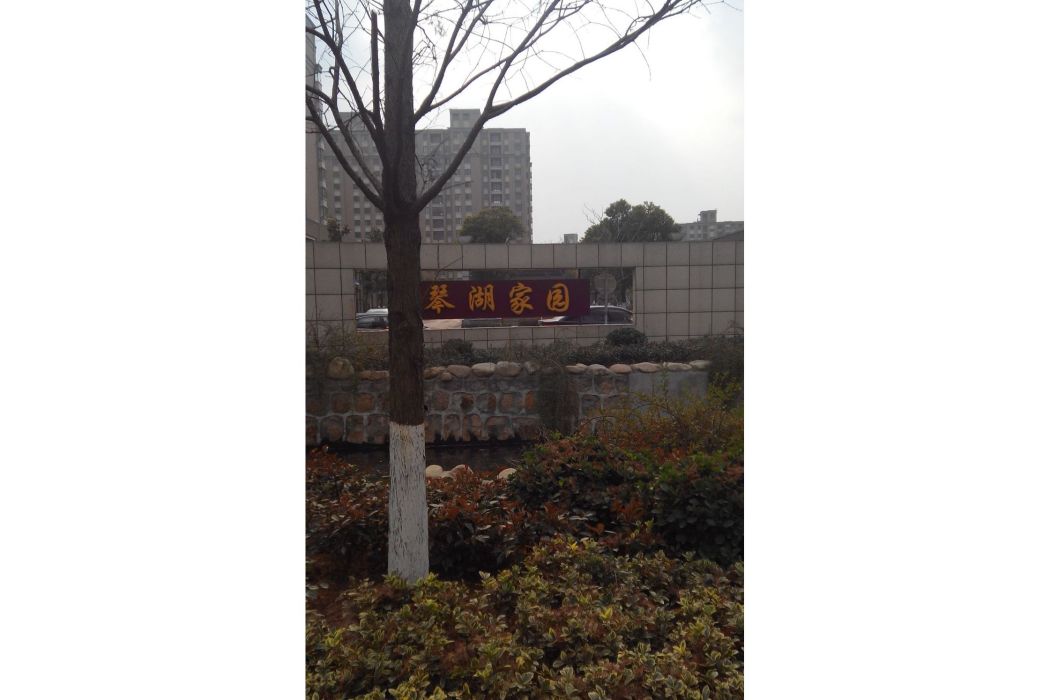 琴湖家園 琴湖家園