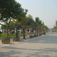 湖濱街道(福建省石獅市湖濱街道)