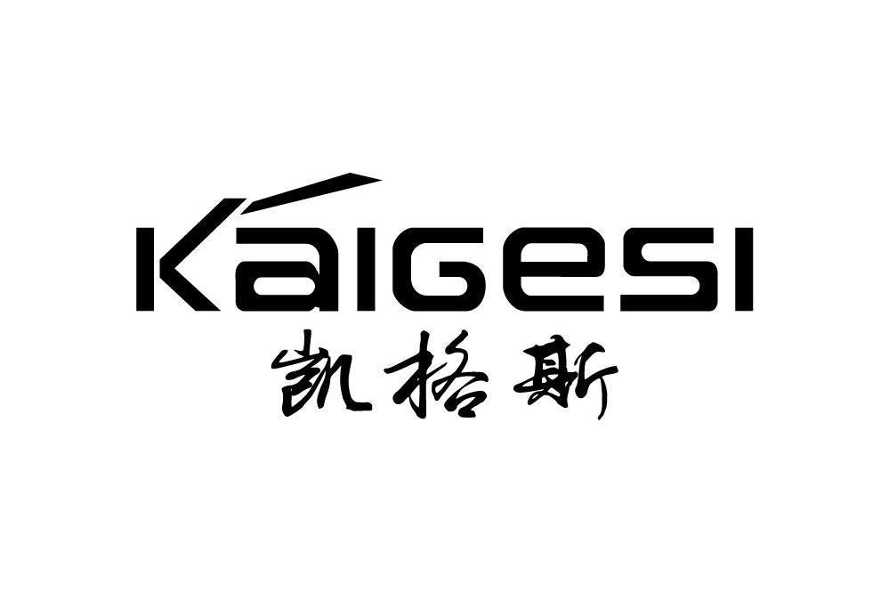 凱格斯(五金品牌) 凱格斯(五金品牌)