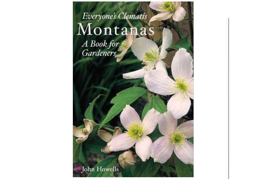 Everyone\x27s Clematis - The Montanas Everyone\x27s Clematis - The Montanas