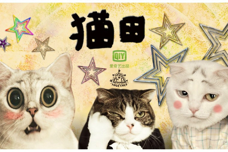 貓田 貓田